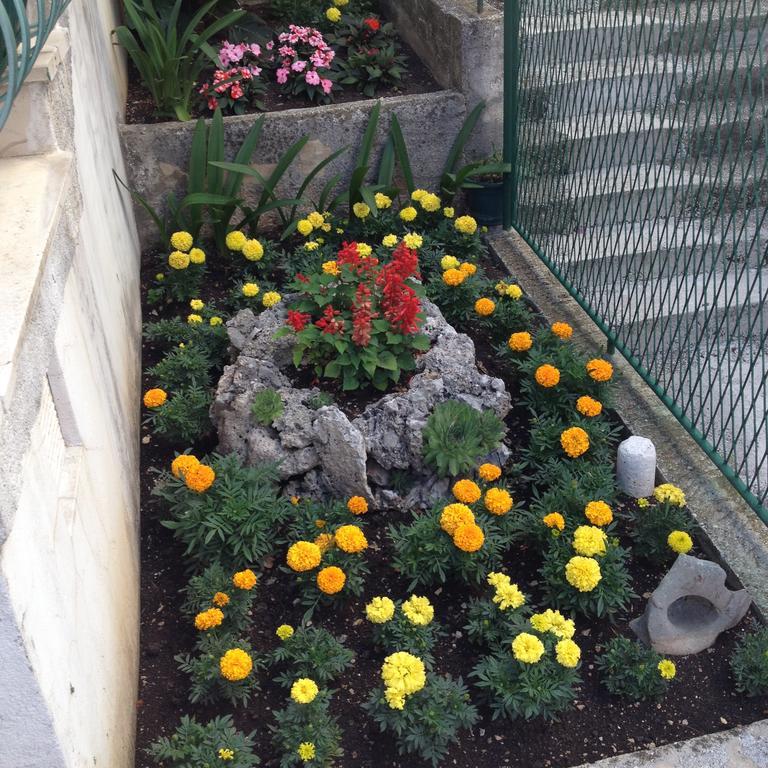 מאקרסקה Apartments Smiljka מראה חיצוני תמונה